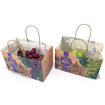 Compostable Small Kraft Paper Bags , Ripen Fruit Paper Bag For Restaurant Grocery